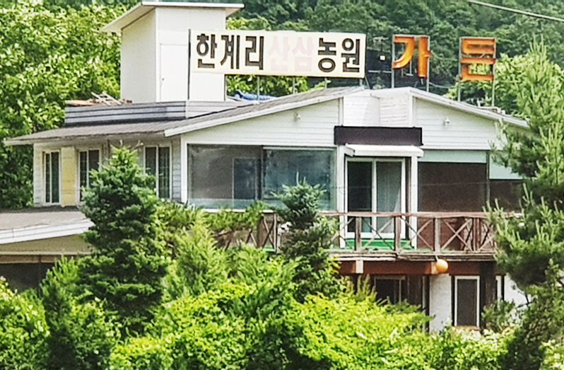 한계리산삼농원